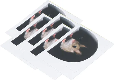 Obrázok produktu pre 20ks Myš diera Nástenné samolepky Realistické Cartoon Cute pre lišty Nábytok Kuchyňa Home DecorType 2
