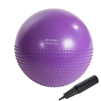 Obrázok produktu pre Masážna gymnastická lopta HMS YB03, 55 cm, fialova