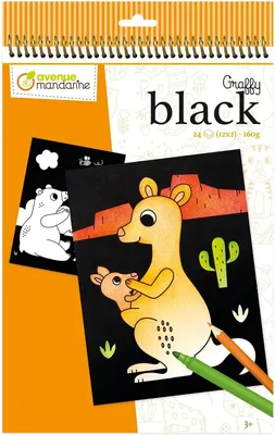 Zdjęcie produktu dla Avenue Mandarine GY158C, 24 stron(y), Chłopak, dziewczyna, Kolorowanka/album