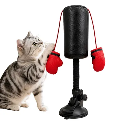 Produktbild von Interaktives Katzenspielzeug mit Saugnapf, Katzen Boxsack mit Feder, automatisches Beschäftigungsspielzeug für Wohnungskatzen, robust & langlebig