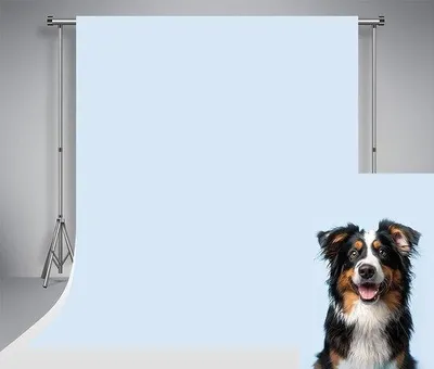 Image de Fond de studio photo bleu clair uni, 2,2 x 1,5 m