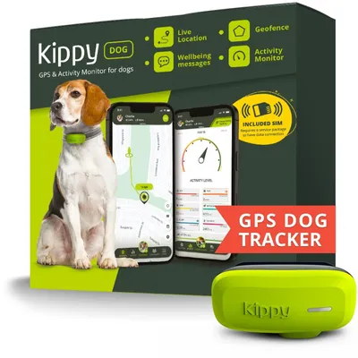 Image de Traceur GPS chien - Traceur collier - Étanche - Compteur d'activité - Vert