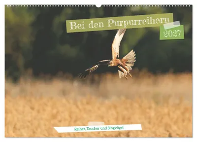 Produktbild von Bei den Purpurreihern (Wandkalender 2027 DIN A2 quer), CALVENDO Monatskalender