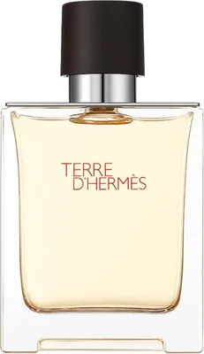 Produktbild von Hermès Terre d’Hermès Eau de Toilette 100ml : 100ml Größe: 100ml