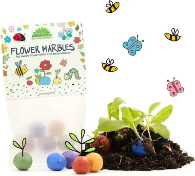 Productafbeelding van Set van 10 kleurrijke bloemenzaadbommen voor kinderen - een afscheidsgeschenk voor de kinderopvang