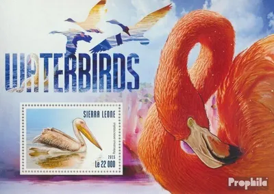Produktbild von Briefmarken Sierra Leone 2015 Mi Block 804 (kompl. Ausg.) postfrisch Wasservögel