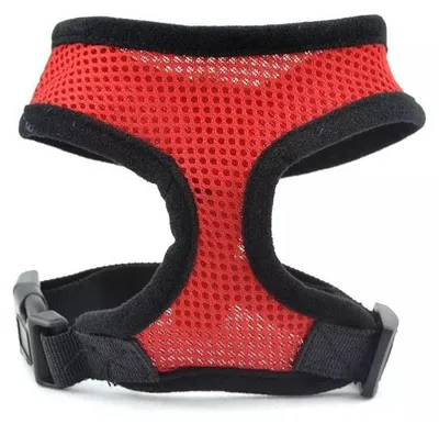 Image de Colliers pour chiens Surtep Animals