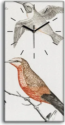 Produktbild von Dekor Leinwand Uhr Wandbilder Quarz 30x60 Zeichnen Tiere Vögel Zweige Kunst - schwarze Hände
