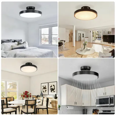 Image de Ventilateur de plafond avec éclairage - 50 cm - Noir - 56W LED - Graduable et compact