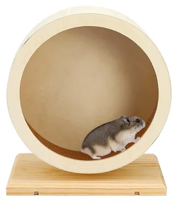 Image de Roue pour hamster - Ø 15 cm - Bois - Surface de course en liège - Silencieuse