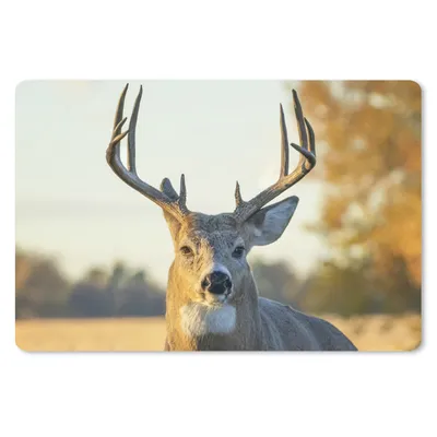 Produktbild von MuchoWow® Schreibtischunterlage Hirsche - Gras - Herbst - Geweih - Natur - Tiere 60x40 cm - XXL Mauspad - Großes Mauspad