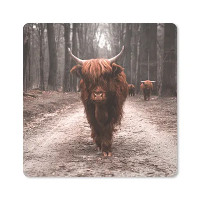 Produktbild von MuchoWow® Mauspad Mousepad Schottischer Hochländer - Wald - Kuh - Tiere - Natur 20x20 cm - Mousepads - Maus Mat - Pad - Mausunterlage - Desk Mat - Bureauartikeln