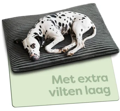 Image de Couverture chauffante pour chien - 90 x 60 cm - Dessous antidérapant - Housse lavable - Gris