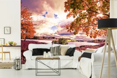 Produktbild von Vlies Fototapete HERBSTAHORNBAUM 375 x 250 cm (inkl. Kleister) - Vlies Tapete, Wandtapete, Wandbilder - Tapete für Wohnzimmer Schlafzimmer, Büro, Küche - Montagefertig