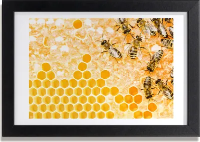 Produktbild von Bild 30x20 MDF-Rahmen, Wandkunst Arbeitsbienen