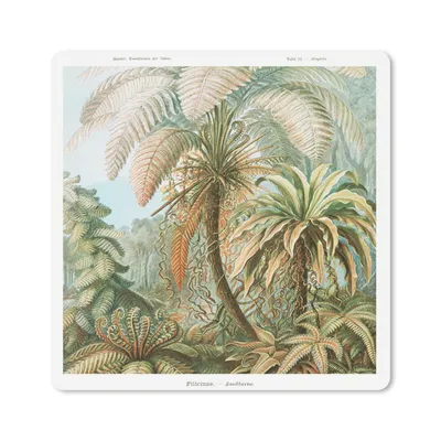 Produktbild von MuchoWow® Mauspad Mousepad Vintage - Alte Meister - Farne - Pflanzen - Natur 30x30 cm - Mousepads - Maus Mat - Pad - Mausunterlage - Gaming