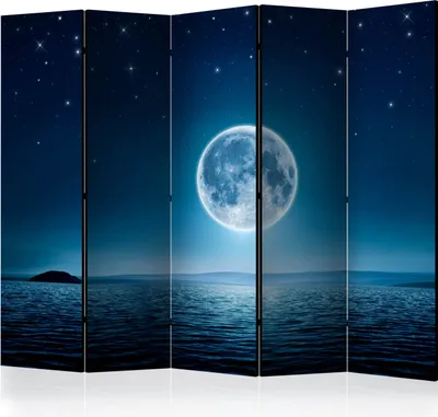 Produktbild von 5-teiliger Einseitiger Vlies Paravent - Moonlit night II 225x172 cm Landschaften c-A-0036-z-c