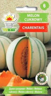 Zdjęcie produktu dla Nasiona warzyw Toraf Melon cukrowy Charentais, opakowanie 3g