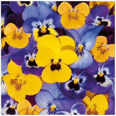 Obrázek produktu pro Ubrousky 33 x 33 cm – Kvetoucí macešky
