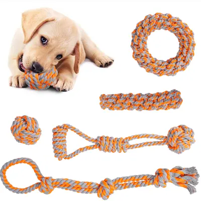 Productafbeelding van SPANKY Honden speelgoed set, 5-delig
