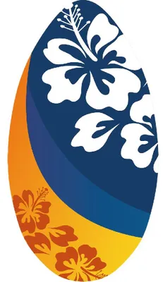 Image de SportX Skimboard Flower Oranje/Blauw 100 cm
