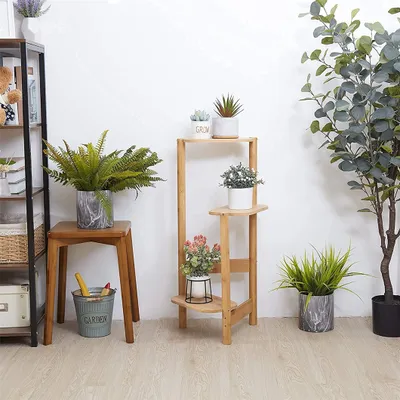 A collection of potted plants arranged on a wooden plant stand and a stool, with a tall plant in the background.