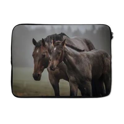 Produktbild von MuchoWow® Laptop Hülle 14 ZollPferde - Nebel - Landschaft Laptoptasche - Laptoptasche - Stoßsicher - Schutzhaube