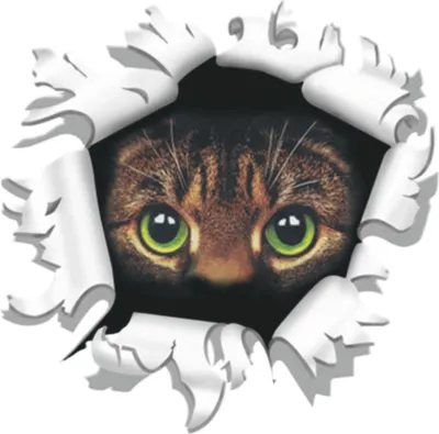 Produktbild von Hermann Schütz Autoaufkleber Einschussloch Katze Ø 8 cm