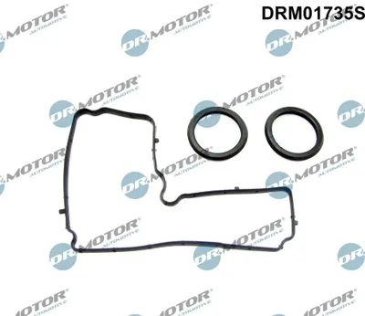 Immagine prodotto di Set Guarnizioni Coperchio Valvole Citroen 2.2Hdi 06-
