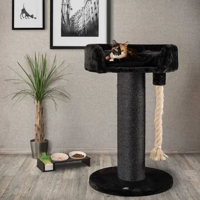Produktbild von CanadianCat Ontario, Katzenkratzbaum, Freistehend, Schwarz, Plüsch, Sisal, 20 cm