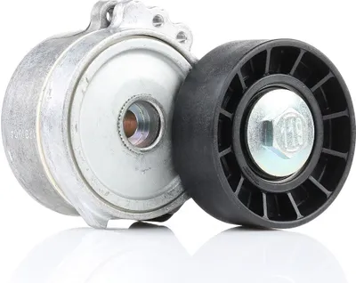 Produktbild von DAYCO APV1114 Riemenspanner Keilrippenriemen für FORD Focus II Schrägheck (DA, HCP, DP)