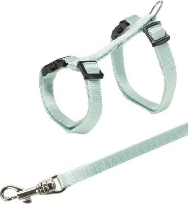 Image de Collier junior avec laisse 19–31 cm/8 mm divers