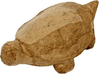 Produktbild von Schildkröte aus Pappmaché