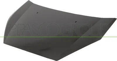 Produktbild von PRASCO FD7303100 Motorhaube für FORD S-MAX (WA6) GALAXY (WA6)