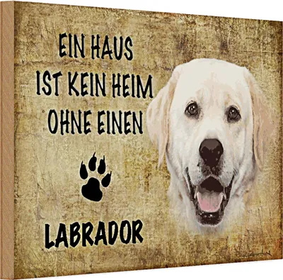 Produktbild von Holzschild Labrador 30x20cm Haus ist kein Heim ohne