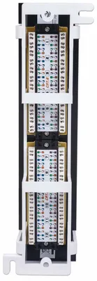 Image de INTELLINET Patchpanel 12-Port Cat6 UTP Wandmontage sw