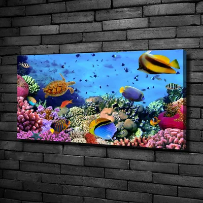 Produktbild von Tulup® Leinwandbild -100x50 cm - Wandkunst - Drucke auf Leinwand - Leinwanddruck  - Tiere - Mehrfarbig - Korallenriff