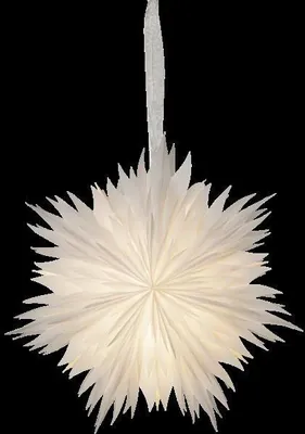 Produktbild von Papierstern Dis, gefranst, weiß, Ø 40cm
