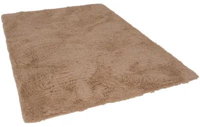 Produktbild von Fluffy Shaggy Teppich – Hochflor weich & flauschig, Größe:120x170 cm, Farbe:Beige