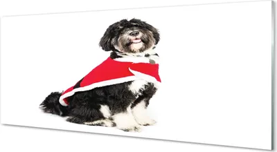 Produktbild von Glasbilder 125x50 Wandkunst Hund