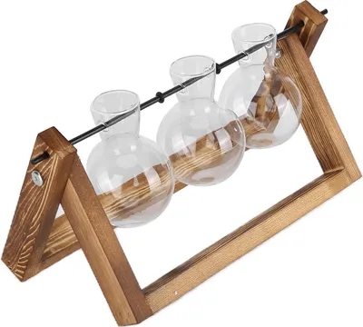 Image de Plant Terrarium with Wooden Stand Glass Vase Desktop Glass Planter for Home Office Decoration(Wood Frame 3 Bottle )