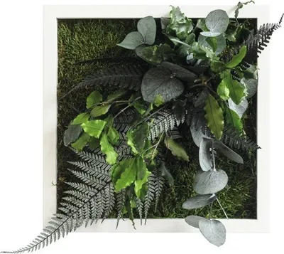 Produktbild von Pflanzenbild Dschungeldesign Rahmen weiß 22x22 cm