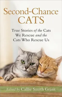 Image de Chats de la deuxième chance