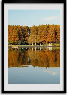 Produktbild von Bild - Bilderrahmen - 50 cm x 70 cm - MDF - Rahmen - Wandkunst Park im Herbst