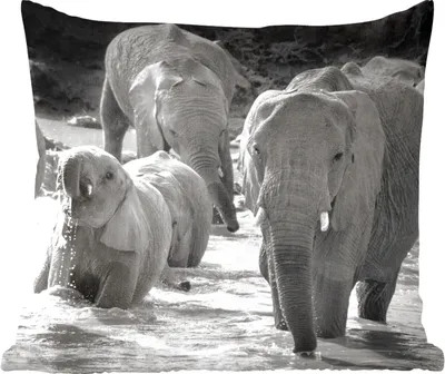 Produktbild von MuchoWow® Zierkissen Sofakissen Wohnzimmer Dekokissen 40x40 cm Elefant - Tiere - Wasser - Schwarz und weiß - Foto Kissen - Schlafzimmer Dekoration