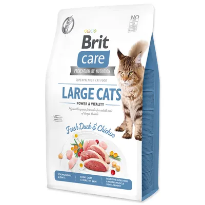 Zdjęcie produktu dla Brit Care Cat Grain-Free - Dla dużych kotów - Power & Vitality - 2kg