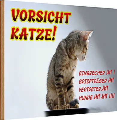 Produktbild von Holzschild Spruch 30x20cm Vorsicht Katze