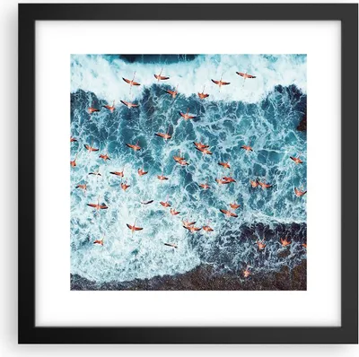 Produktbild von Gerahmtes Poster - Schwarzer Rahmen - Flamingos Karibik Vögel - 30x30 cm - Wand Bild - Wanddeko - Wandbilder - Kunstposter - Wandposter - Bilderrahmen - Bilder - Kunstdruck - P2BAC30x30-5013
