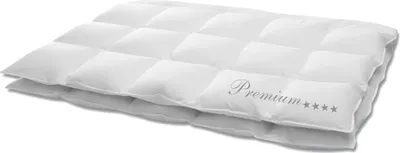 Zdjęcie produktu dla Kołdra puchowa Hanskruchen Premium 4 gwiazdki Średnia 200 x 200 cm