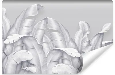 Produktbild von Muralo Vlies Fototapete BANANENBLÄTTER Pflanzen Natur Wohnzimmer 368 cm x 280 cm